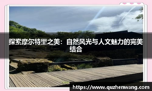 彩神彩票vIII